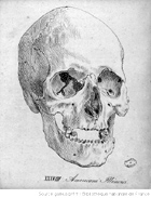 Deutsches Internet-Portal zu Johann Friedrich Blumenbach (1752-1840) - Professor in Gttingen und Begrnder der Physischen Anthropologie